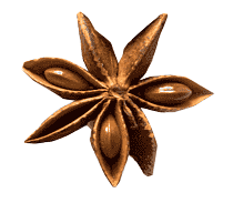 ramacanela1