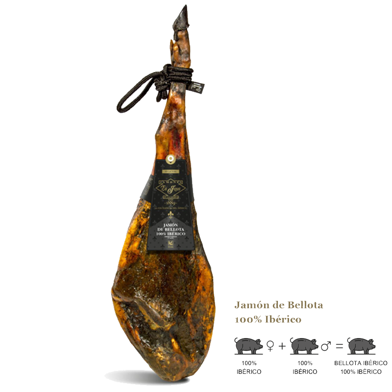 JAMON 1