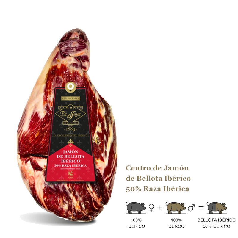 JAMON 2